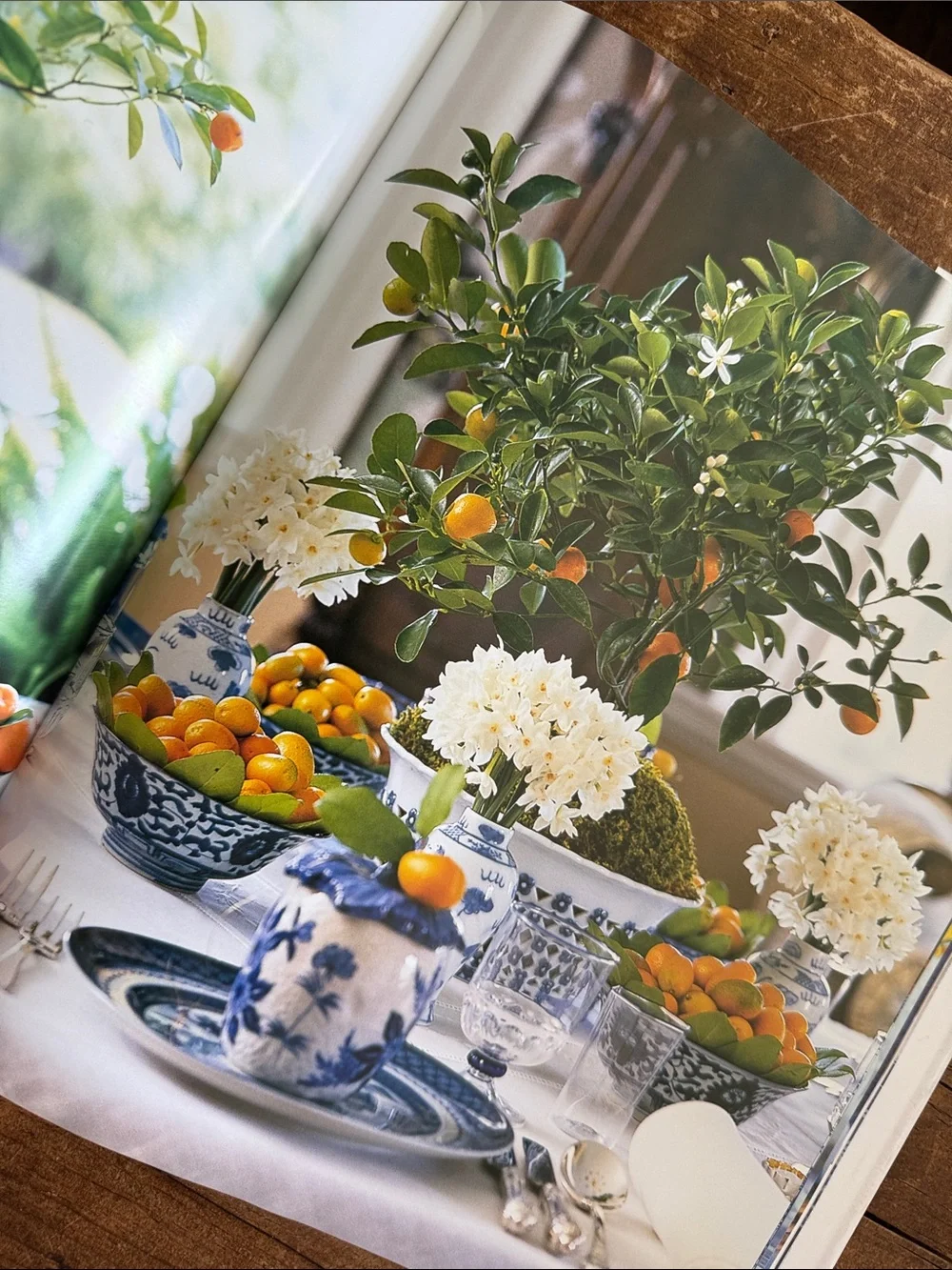 A Passion for Blue & White Coffee Table Book by Carolyne Roehm - Picture 10 of 15